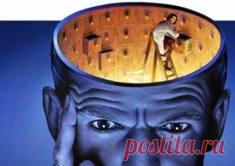 Ученые о мозге: лучшие лекции TED с русской озвучкой