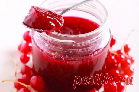 Желе из красной смородины с пектином — Journal women