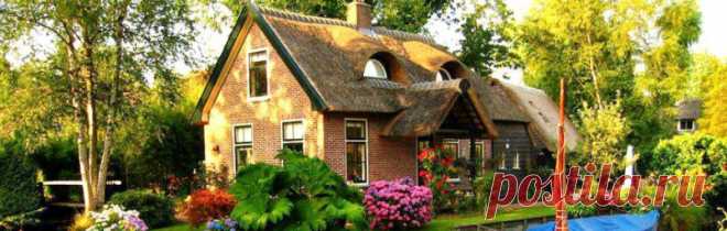 Растения в быту | Дача, дом