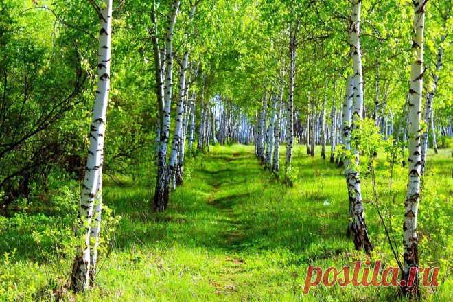 (27) Одноклассники
