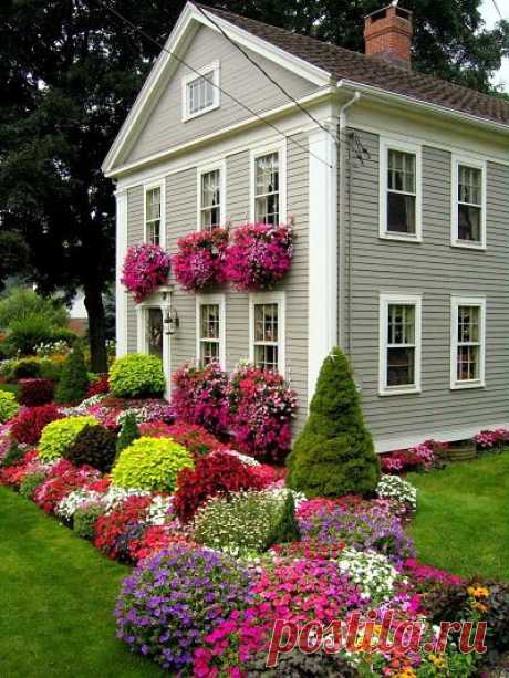 Sarah Stapp сохранил(а) Пин на доску blisssssSfulLness 
secret garden  |   Pinterest • Всемирный каталог идей