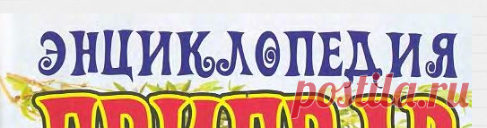 Google Translate
