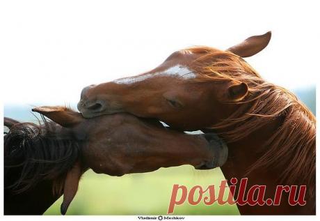 Интересные новости