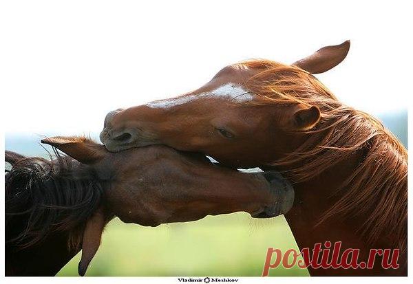 Интересные новости