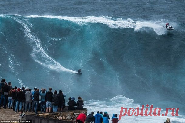 ФотоТелеграф » Серфингисты оседлали 30-метровую волну