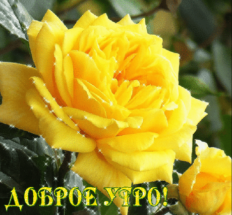 Плейкаст «ДОРОЕ УТРО!!!!!! УДАЧИ И ПРЕКРАСНОГО НАСТРОЕНИЯ!!!!!!»