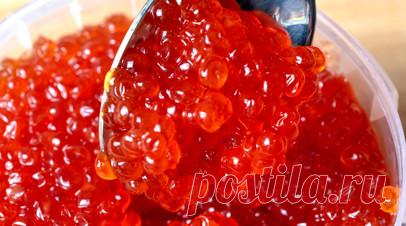 Специалист Койтов: красную икру нужно покупать только в официальных торговых точках. Председатель Союза потребителей России Алексей Койтов призвал приобретать красную икру только в официальных торговых точках. Читать далее