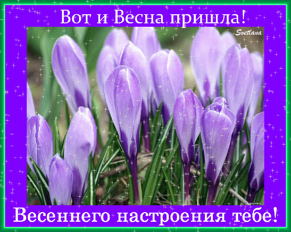 Плейкаст «УРААААААААААААА!ВЕСНА!С ПЕРВЫМ ДНЁМ ВЕСНЫ ВАС,МОИ ДРУЗЬЯ!от ТАТЬЯНЫ ЕШТОКИНОЙ!»