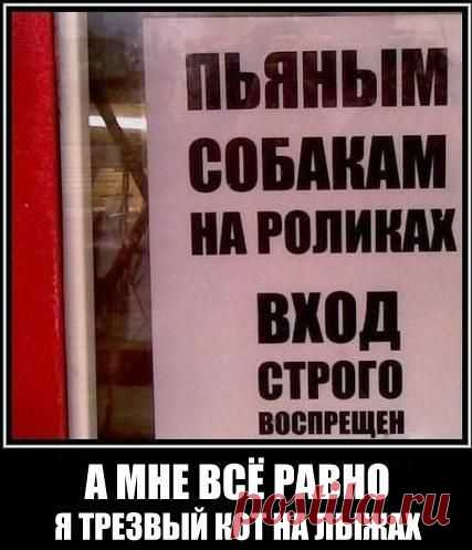 no comments