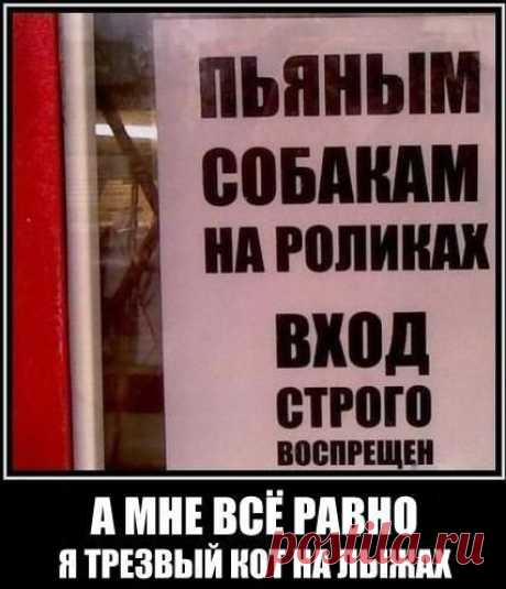 no comments