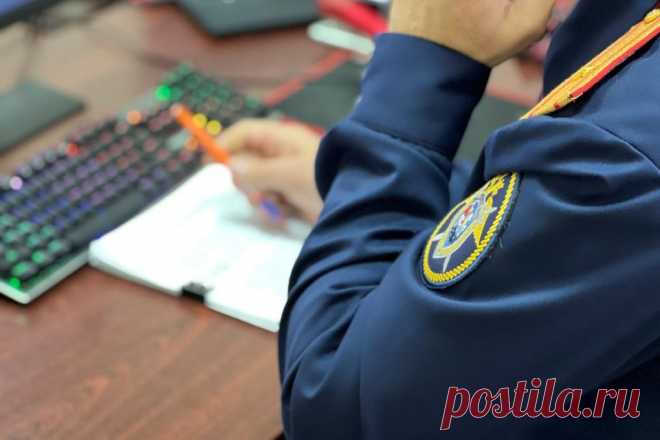 В Воронежской области учитель физкультуры ударил школьника. Следственный комитет проводит проверку.