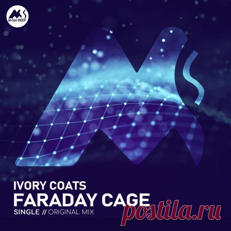 VIP - Ivory Coats - Faraday Cage | DJ | SoundMasters | Service