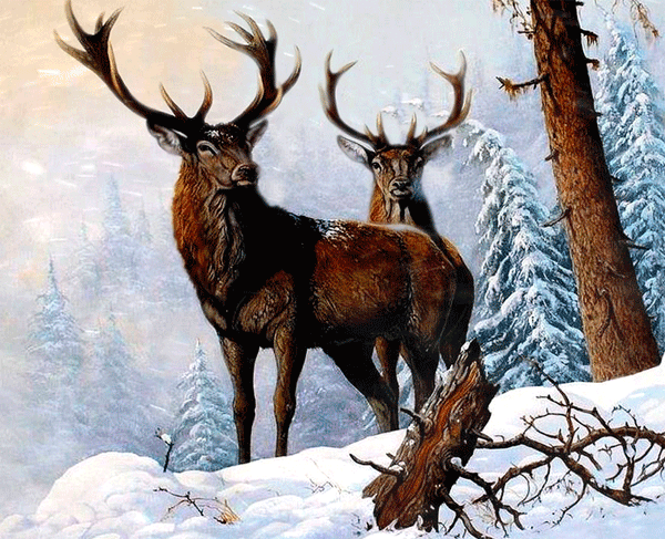 (6) Мой Мир@Mail.Ru