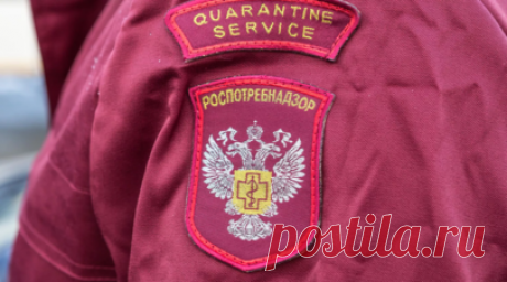 Роспотребнадзор не поддержал онлайн-торговлю спиртным. Роспотребнадзор не поддержал идею разрешить онлайн-продажу алкоголя, заявил начальник управления федерального государственного надзора в области защиты прав потребителей Роспотребнадзора Олег Прусаков. Читать далее