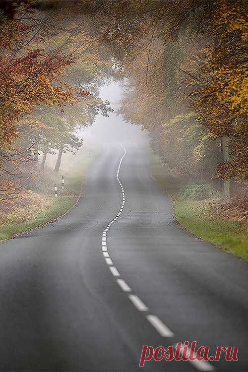 Open Road　by Tony Dudley 500pix | Tree &amp; Path