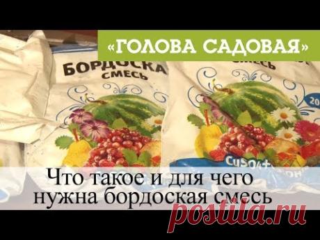 Голова садовая - Что такое и для чего нужна бордоская смесь