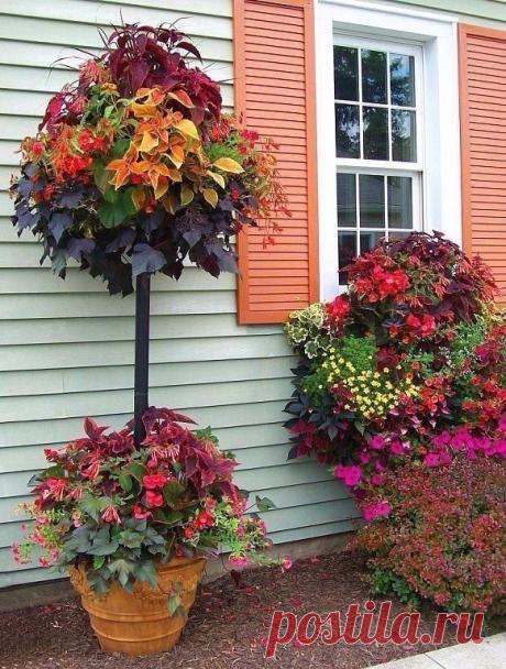 ღஐ Надежда ஐღ ♛ - Россия на Мой Мир@Mail.ru