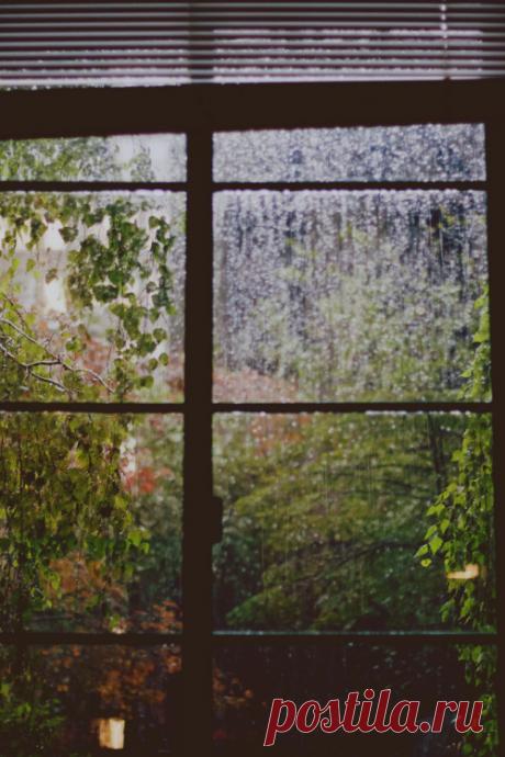 Bohemian Wornest-France