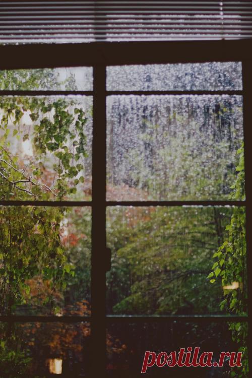 Bohemian Wornest-France