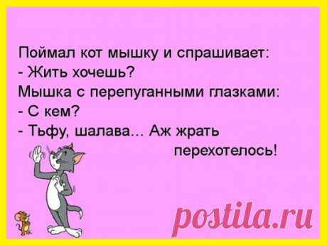 Пришли немцы в деревню. Никого нет. Смотрят, старик сидит на лавочке... 
Семья Сидоровых нашла в почтовом ящике два билета на концерт и записку:  "Догадайтесь, от кого!"  Вернувшись с концерта, супруги обнаружили, что их квартиру обокрали.  К шкафу была приколота записка …