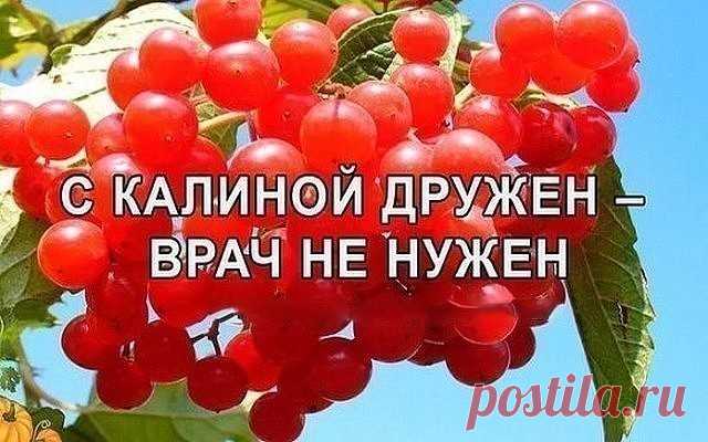 (18) Одноклассники