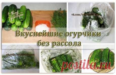 Бродилка (домашняя заготовка)