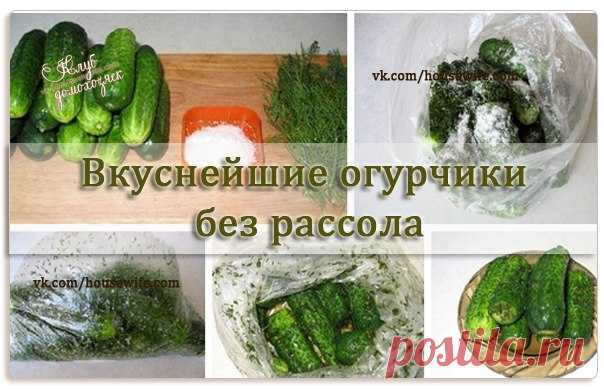 Бродилка (домашняя заготовка)