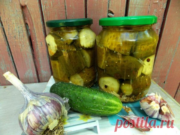 Огурцы на зиму - самый вкусный рецепт на зиму (пошаговые фото) | Рецепты с фото