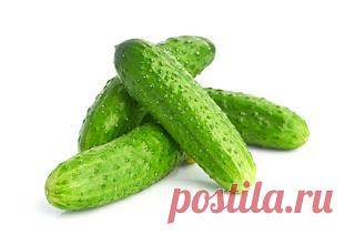 Мамам, женщинам, бабушкам и очень любознательным.