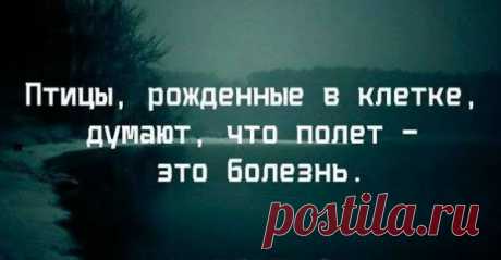 Фраза дня.