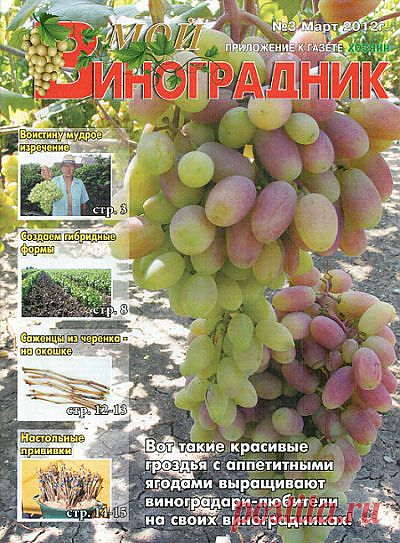 МОЙ Виноградник, приложение к газете "ХОЗЯИН".