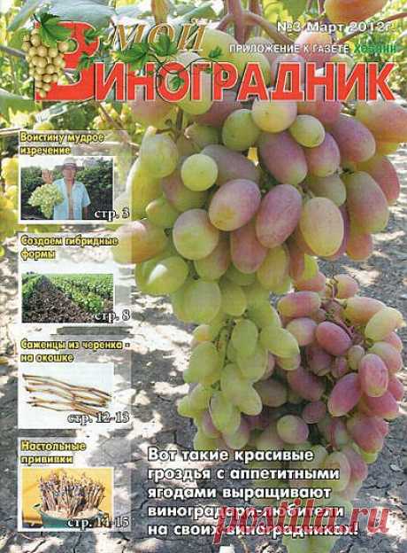 МОЙ Виноградник, приложение к газете &quot;ХОЗЯИН&quot;.
