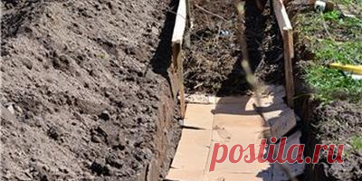 Узкие грядки