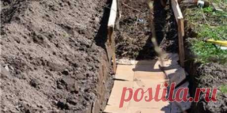 Узкие грядки