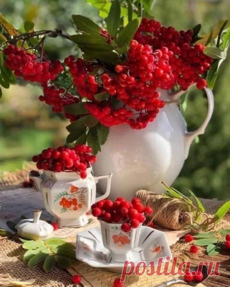 Сентябреет… тихо сентябреет…
Ход времён нельзя остановить…
Да и кто с природой спорить смеет...
Сентябреет… так тому и быть.
-Ольга Радость