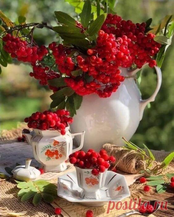 Сентябреет… тихо сентябреет…
Ход времён нельзя остановить…
Да и кто с природой спорить смеет...
Сентябреет… так тому и быть.
-Ольга Радость