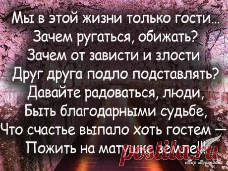 1 непрочитанный чат