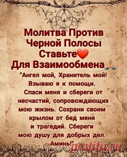 FTg8vJFeVuAp-yDhRq652ZBvgfXnxpxSkkx_94O00_6Gm_vRq1rnBUOkSAINWRhqXn5I6dumN03TRICVBz1vttgE.jpg (Изображение JPEG, 488 × 604 пикселов) — Масштабированное (97%)