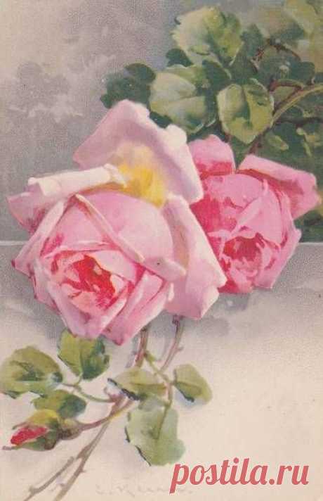 (723) Catherine Klein | Vintage