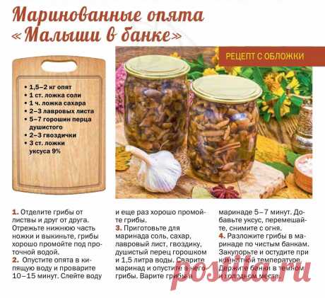 Маринованные опята &quot;Малыши в банке&quot;