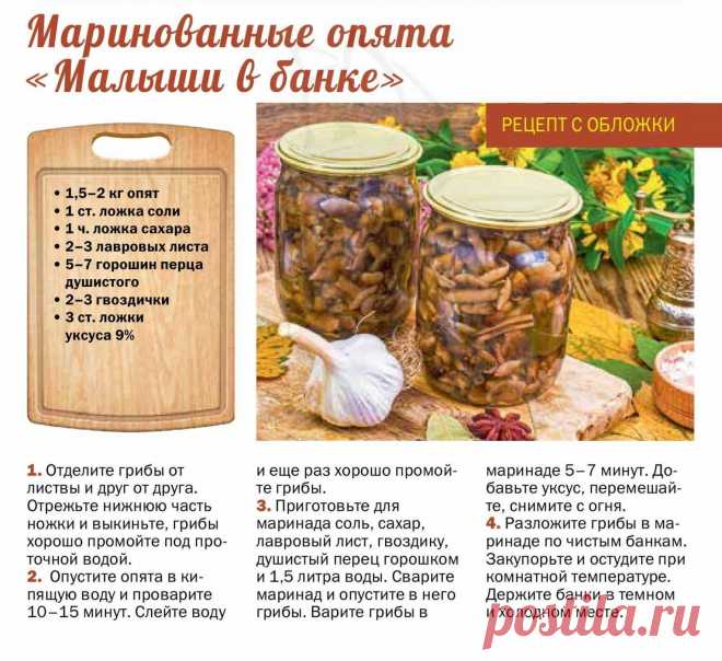 Маринованные опята "Малыши в банке"