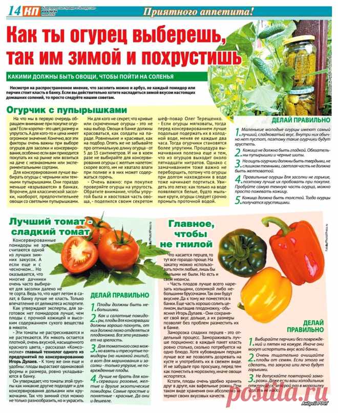 Выбираем огурцы, помидоры, перец для соления