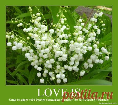 love is