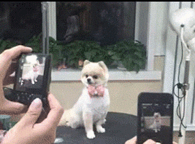 giphy.gif (280×208)