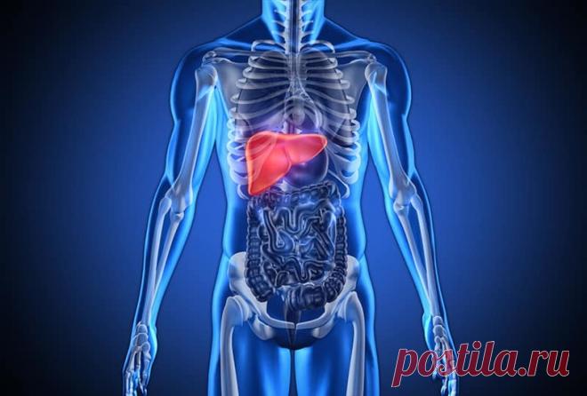 Чистка печени по методике Марвы Оганян