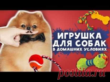 Самодельные мягкие игрушки для собак | Идеи для жизни | Яндекс Дзен