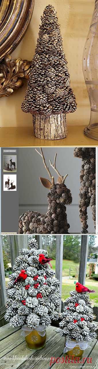 сосновые шишки.