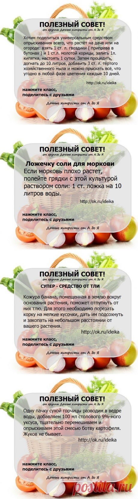 СОВЕТЫ ОГОРОДНИКАМ!