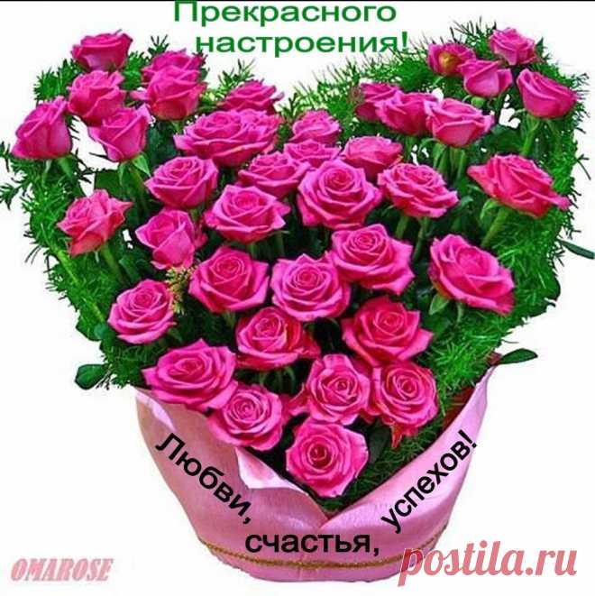 ijUUZYPptEo.jpg (1000×1002)