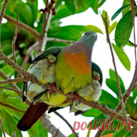 (+1) тема - Потрясающий кадр! | НАУКА И ЖИЗНЬ